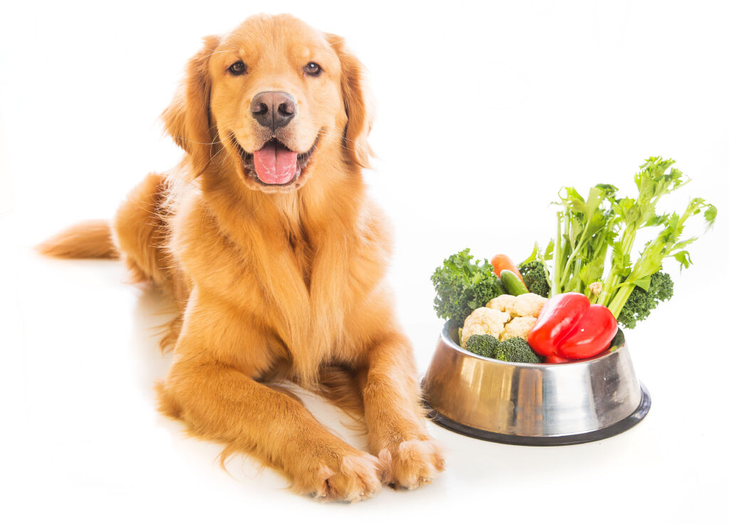 is pea flour safe for dogs