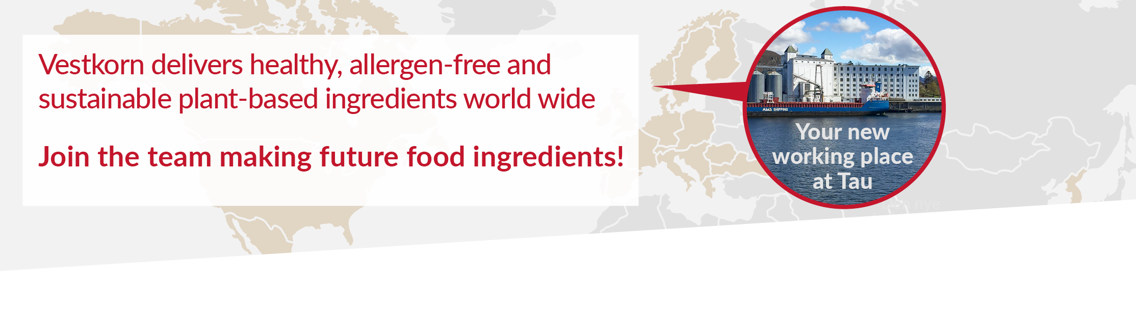 Vestkorn deliver allergen-free, sustainable and healthy food ingredients world wide